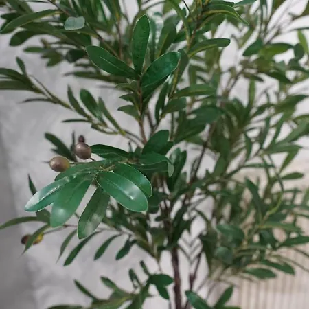 Appartement Poseidon's Premium